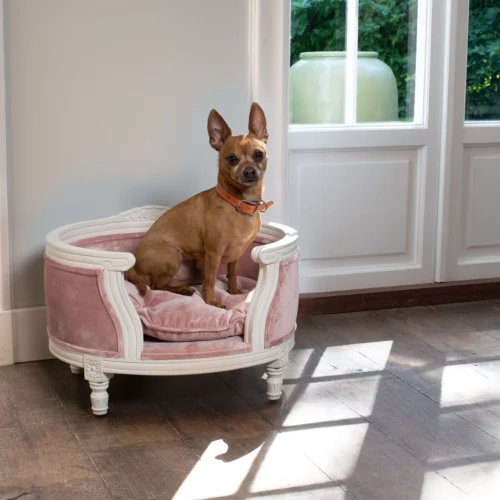 Hondensofa Lord Lou George Pink Velvet