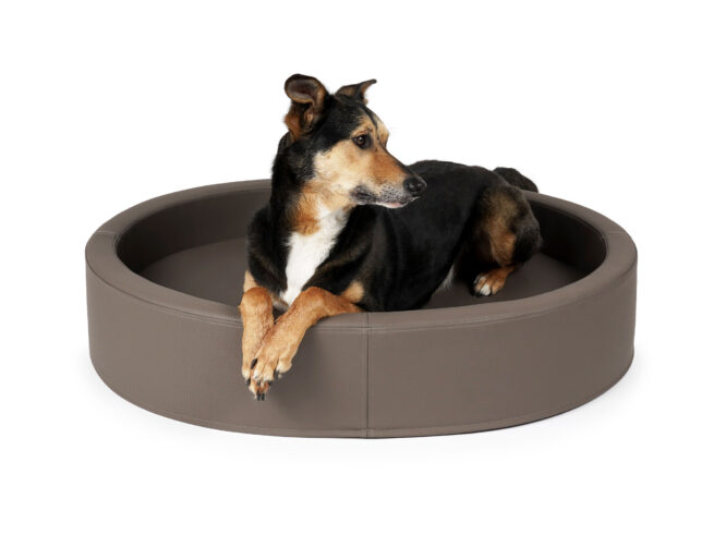 Hondenmand Solatium Premium Leer Taupe - Afbeelding 4