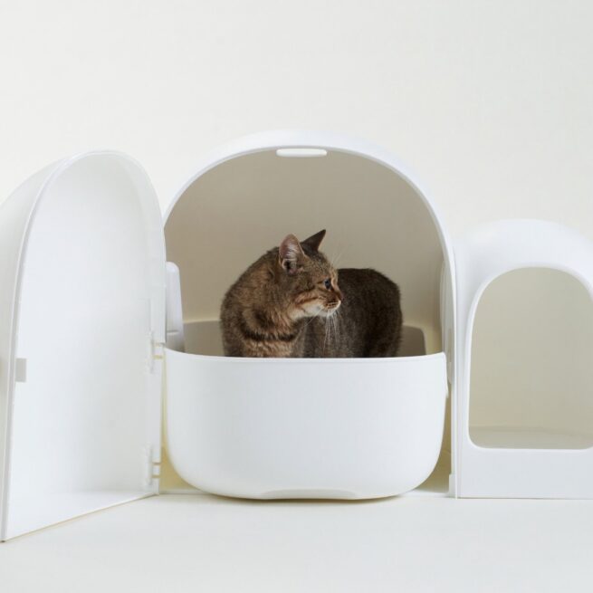 makesure design kattenbak open