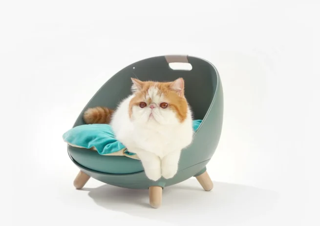 MakeSure Kattenmand Dafu Mosgroen 4 in 1 - Afbeelding 7