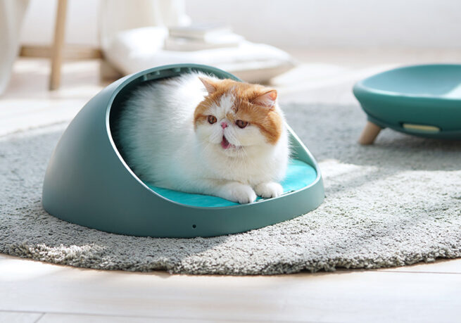 MakeSure Kattenmand Dafu Mosgroen 4 in 1 - Afbeelding 9