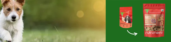 Energique Nutrident hondenvoer