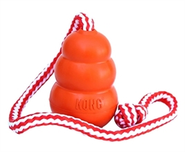 Kong Aqua Oranje Medium - Afbeelding 2