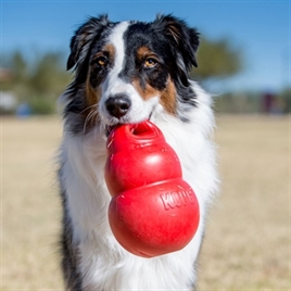 Kong Bounzer Large - Afbeelding 2