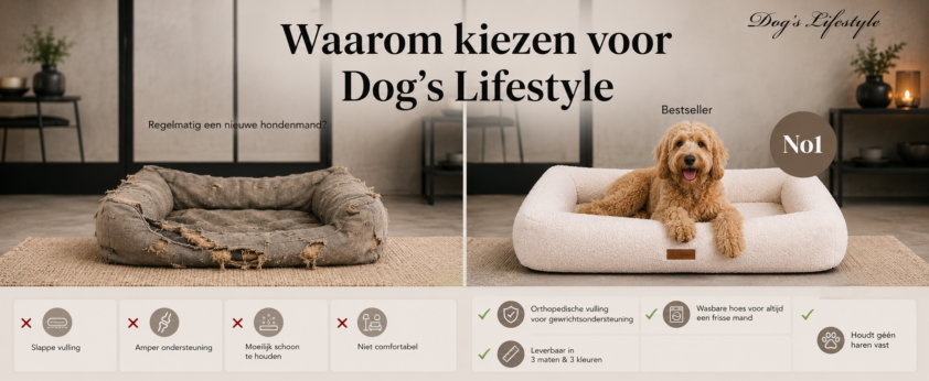 hondenmand dogs lifestyle