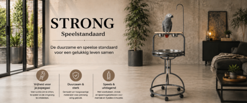 Papegaaien speelstandaard