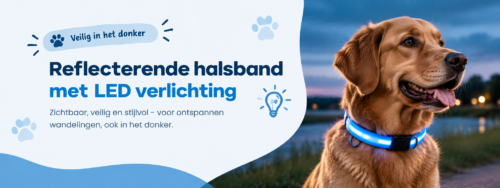 Reflecterende halsband voor de hond – LED halsbanden & verlichting